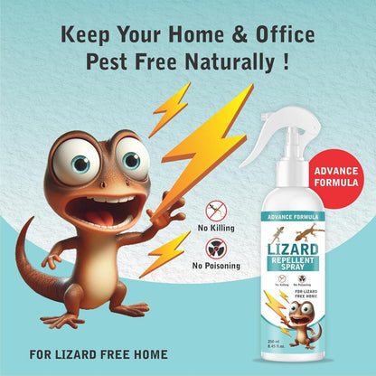 Lizard Repellent for Home Spray Pest Control 250ML (Pack of 2) - Zynocruze